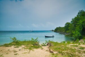 A tranquil coastal scene in Vieques with a small boat anchored near the shoreline, surrounded by lush greenery and calm blue waters under a clear sky—truly one of the best beaches you'll ever find.