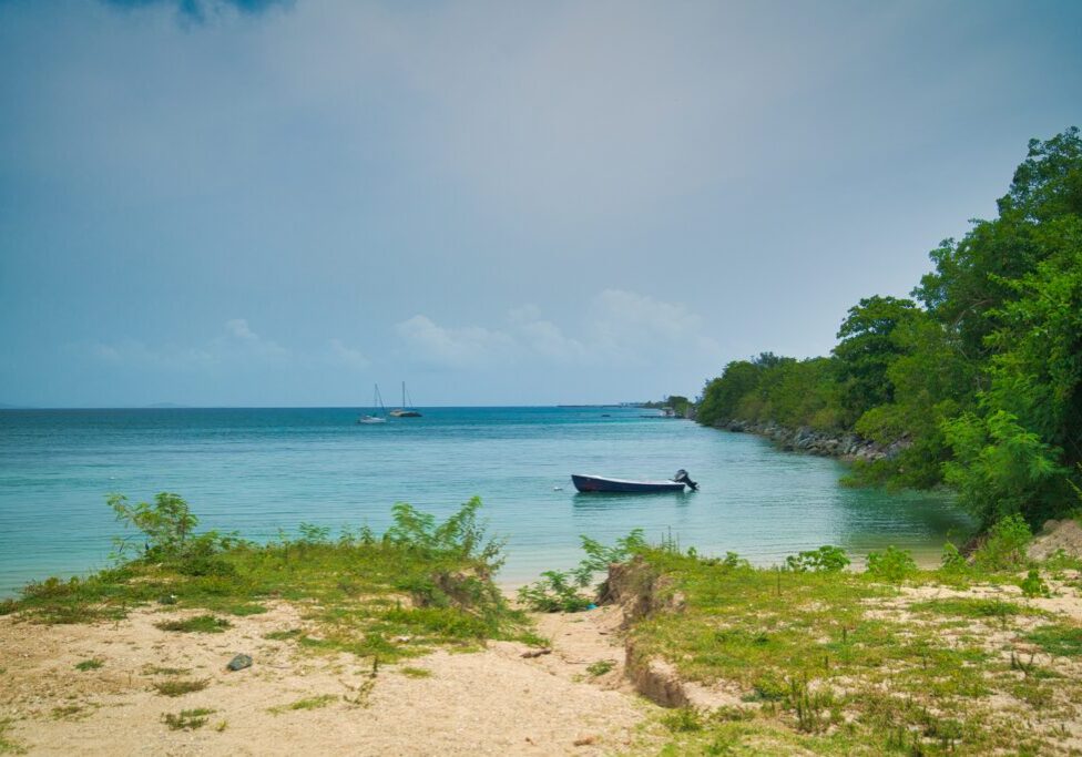 A tranquil coastal scene in Vieques with a small boat anchored near the shoreline, surrounded by lush greenery and calm blue waters under a clear sky—truly one of the best beaches you'll ever find.